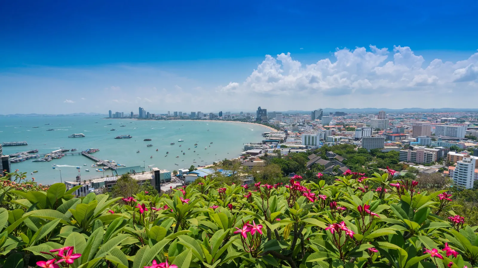 Pattaya City Viewpoint